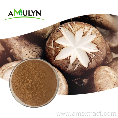 Organic Edible Fungus Extract Shiitake Mushroom Extract